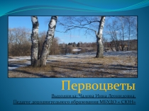 Презентация для занятий по программе  Мир вокруг нас