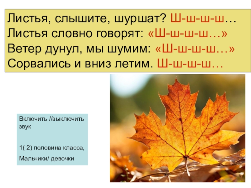 Звук листьев. Шуршать листьями. Шуршать листиками. Стихотворение листья шуршат. Стих про шуршание листьев.