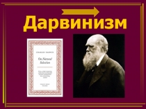 Презентация по биологии на тему Дарвинизм (9 класс)