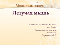 Презентация Млекопитающие. Летучая мышь