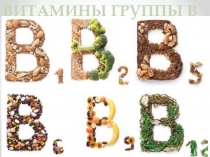 Презентация по биологии Витамин В
