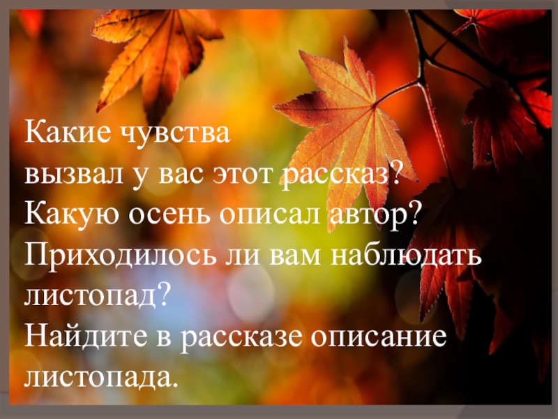 Осеннее утро пришвин презентация