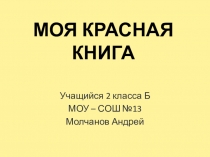 Презентация по окружающему миру Моя красная книга