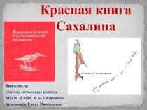 Презентация по ОКМ на тему  Красная книга Сахалина. Животный мир.