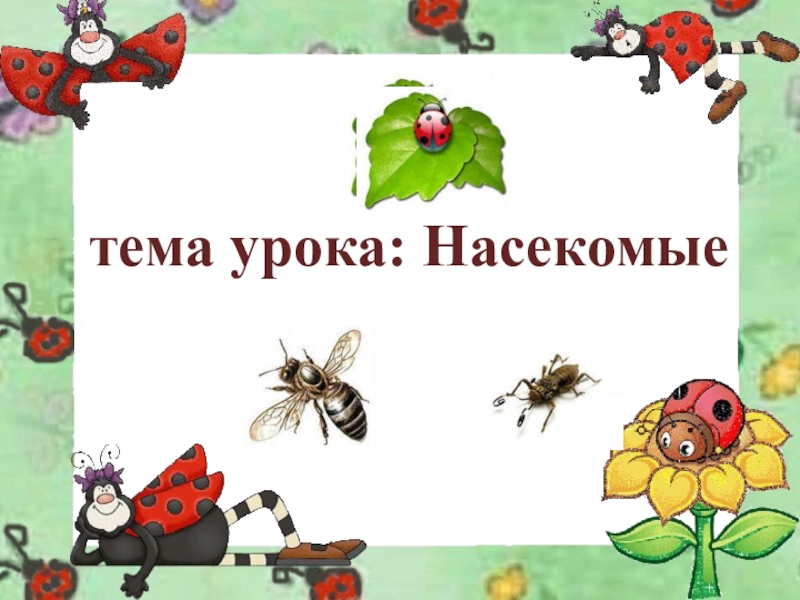 Тема насекомые во второй. Тема урока насекомые. Насекомые окружающий мир. Насекомые по окружающему миру. Насекомые презентация.