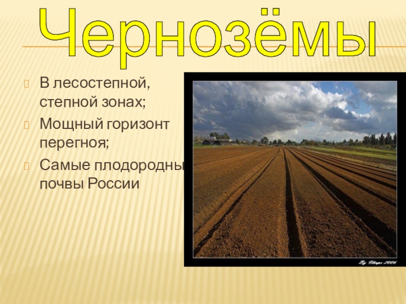 Какой тип почвы самый плодородный. Самые плодородные почвы России. Почвы зоны степей в России. Самые плодородные почвы. Черноземные почвы лесостепной и Степной зоны.