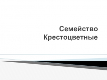 Презентация  Семейство Крестоцветные