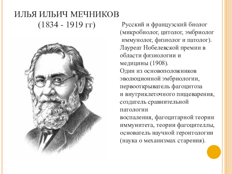 Мечников нобелевская премия. Илья Ильич Мечников Нобелевская премия. Илья Ильич Мечников (1908 – медицина). Илья Мечников 1908. Мечников Нобелевская премия 1908.