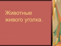 Презентация по окружающему миру на тему Животные живого уголка