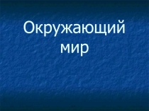 Жизнь лесных зерей зимой ,презентация