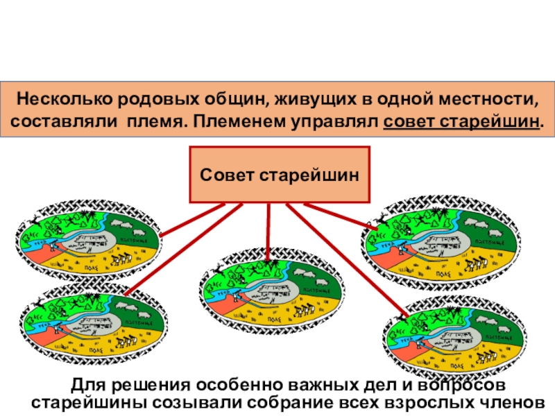 Родовые общины и племяДля решения особенно важных дел и вопросов старейшины созывалисобрание всех взрослых членов племениНесколько родовых