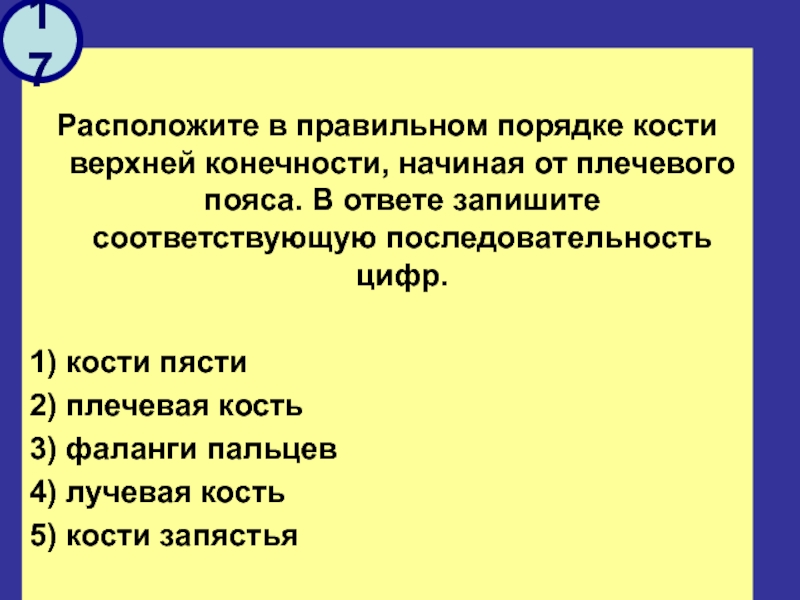 Расположите в правильном порядке кости верхней конечности. Расположите последовательность костей верхней.