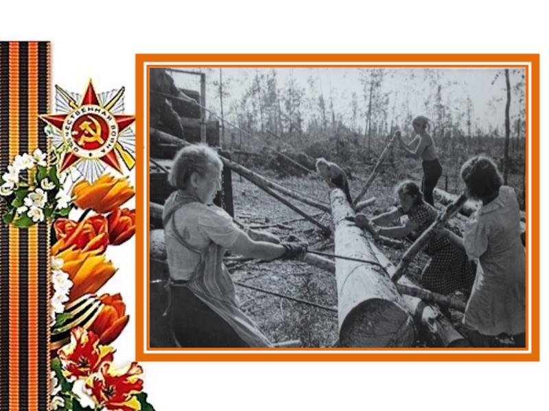 геншин импакт пеймон. война отняла у них детство поделка. геншин значки стихий. их детство геншин достижение. Genshin impact достижения.