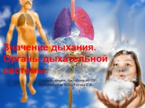 Конспект урока по биологии на тему: Органы дыхания(8 класс)