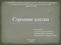 Презентация по биологии Строение клетки