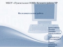 Презентация Исследовательская работа Да будет сеть