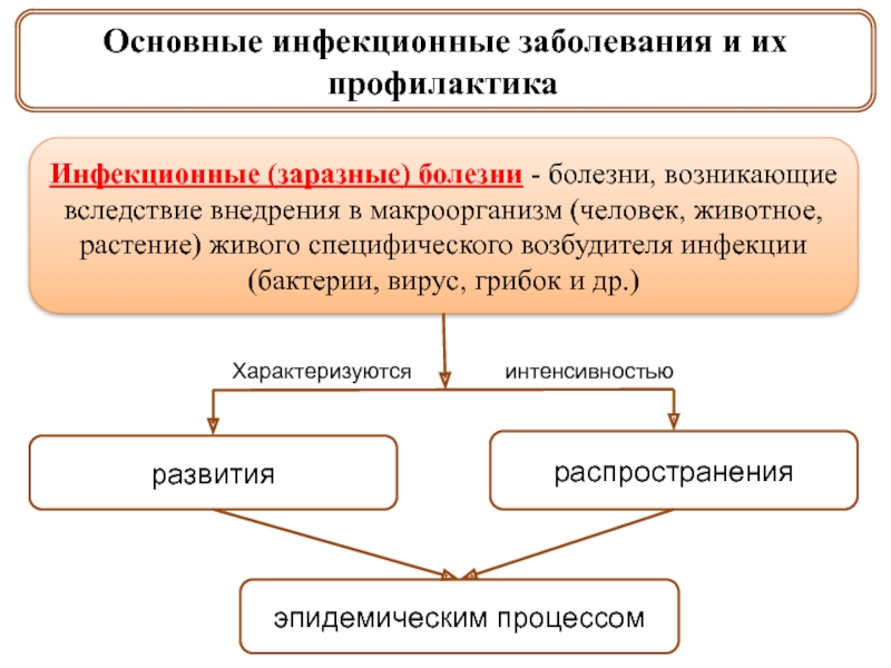 Реферат: Воздушно-капельные инфекции, профилактика и лечение