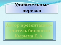Презентация по биологии на тему Удивительные деревья (7 класс)