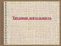 Презентация по обществознанию на тему Трудовая деятельность( 9класс)