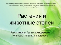Презентация по познанию мира на тему  Растения и животные степи