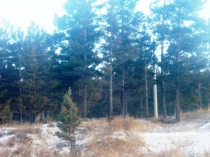 Презентация к уроку развитие речи на тему:  Употребление предлогов в речи (4 вспомогательный класс)