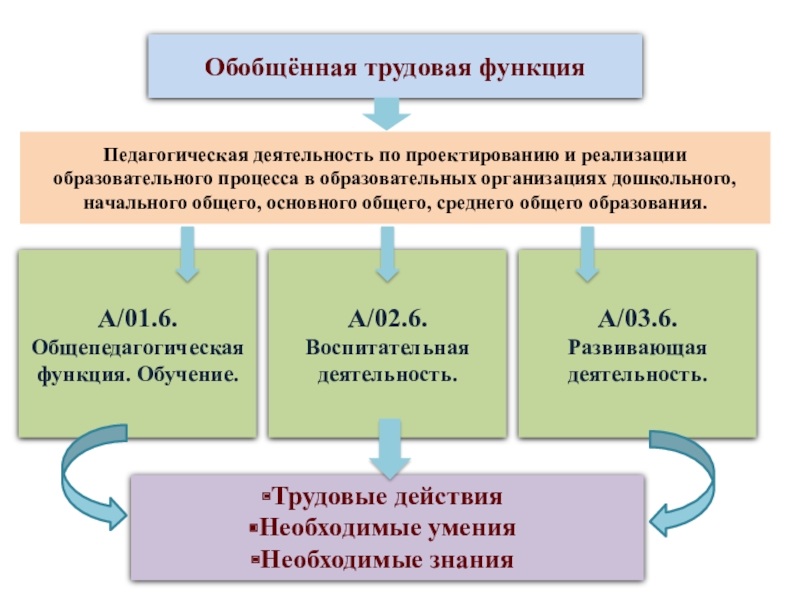 Обобщённая трудовая функция А/01.6. Общепедагогическая функция. Обучение.А/02.6. Воспитательная деятельность.А/03.6. Развивающая деятельность.Трудовые действия Необходимые уменияНеобходимые знанияПедагогическая деятельность по