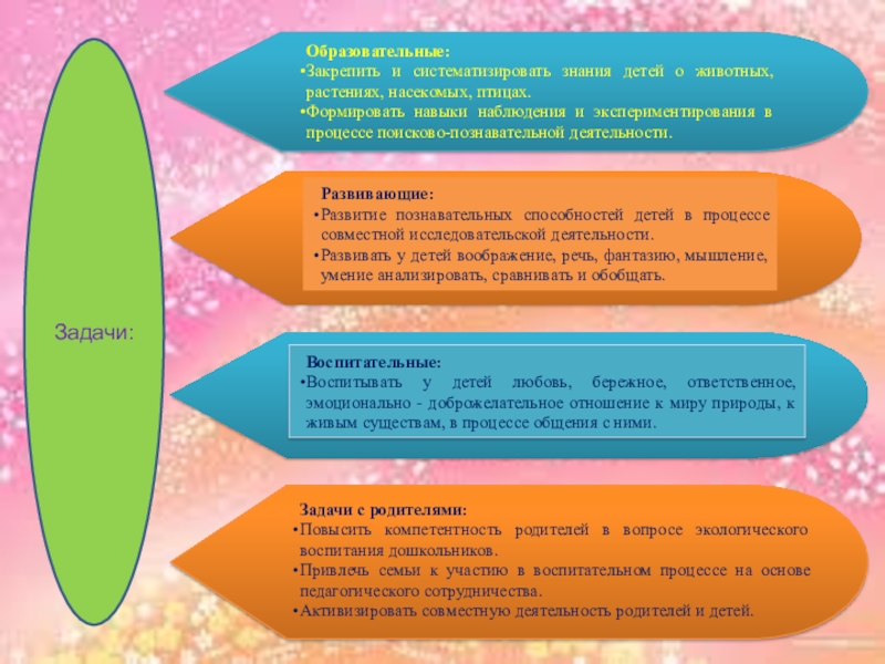 Презентация отчет по проекту