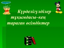 Тақырыбы:Күрделігүлділер тұқымдасы–кең тараған өсімдіктер