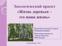 Экологический проект на тему Жизнь деревьев - эта наша жизнь