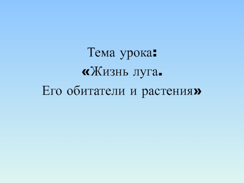 Растения и животные луга 2 класс 21 век презентация