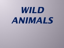 Презентация по теме Дикие животные.Английский язык 4 класс.