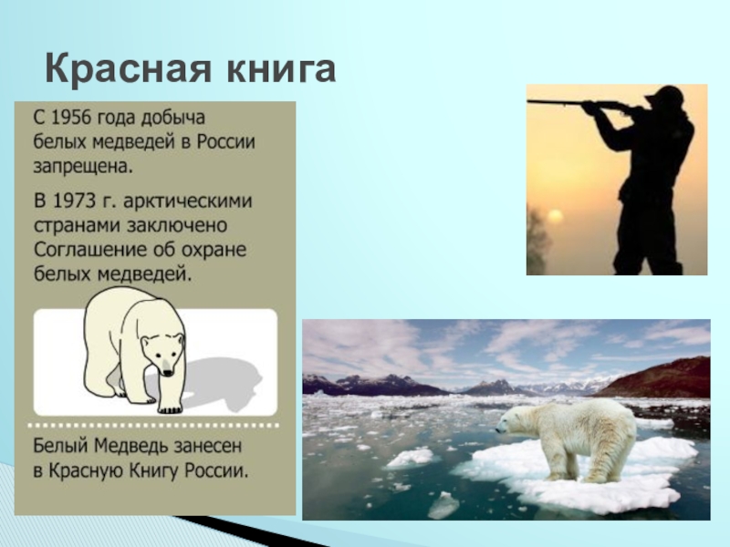 Какие холодные районы есть