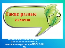 Презентация Такие разные семена