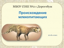 Презентация к уроку Происхождение млекопитающих