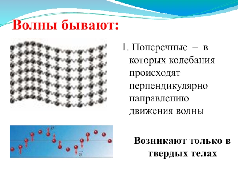 Перпендикулярные волны. Волновое движение. Поперечная волна в твердом теле. Механические волны в твердых телах. Виды волн.