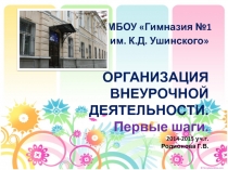 Организация внеурочной деятельности (1-4 классы)