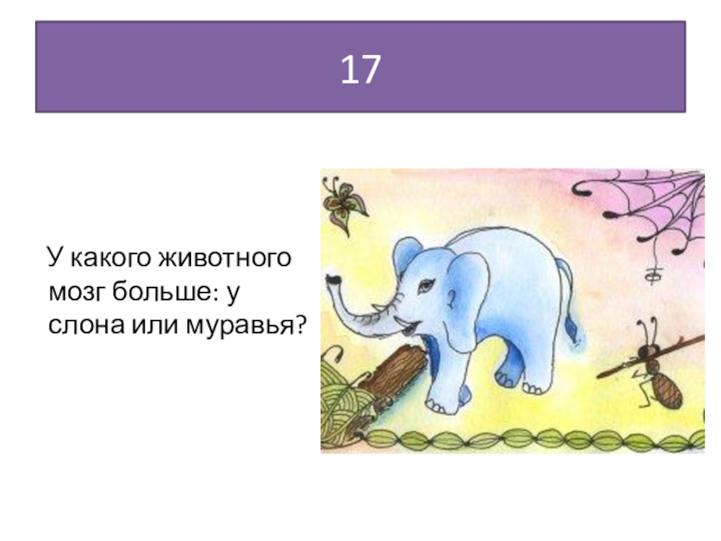 Слон и муравей. Кто сильнее слон или муравей. Муравей сильнее слона. Кто сильней муравей или слон. Муравей больше слона.