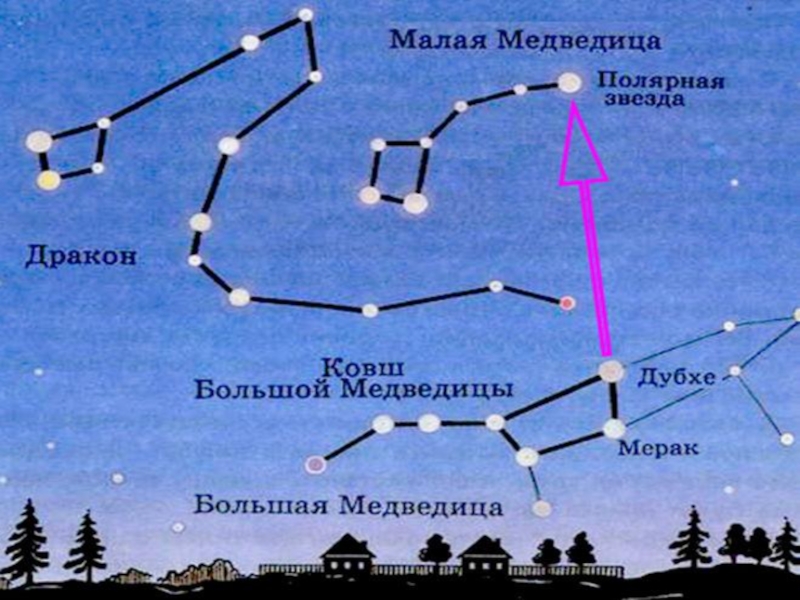Можно ли увидеть малую медведицу. Полярная звезда и Сириус в малой Медведице. Большая Медведица и Полярная звезда расположение на небе. Созвездие малой медведицы на карте звездного неба. Карта звездного неба большая Медведица и малая Медведица.