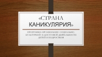 Презентация по воспитательной работе Страна Каникулярия времяпрепровождение во время каникул