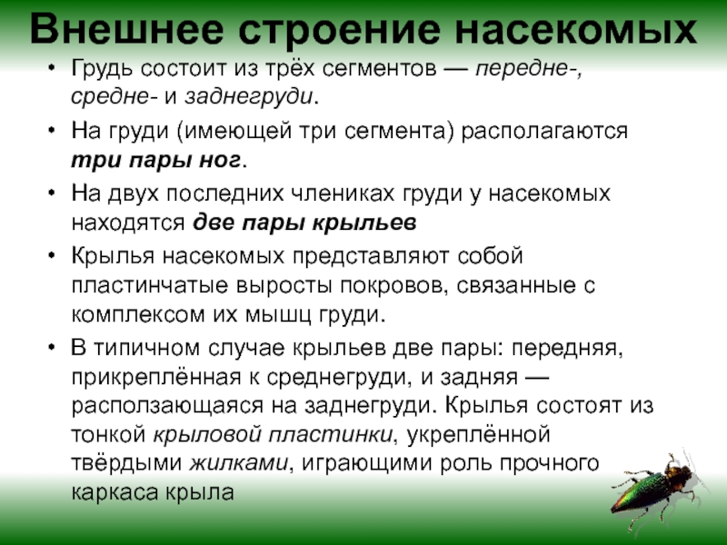 Какие особенности внешнего. Особенности строения насекомых. Особенности строения насекомых таблица. Особенности класса насекомые. Насекомыхособенисти строения.