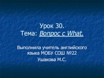 Презентация по английскому языку на тему