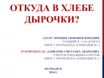 Исследовательская работа учащегося на научно-практической конференции по теме Откуда в хлебе дырочки?