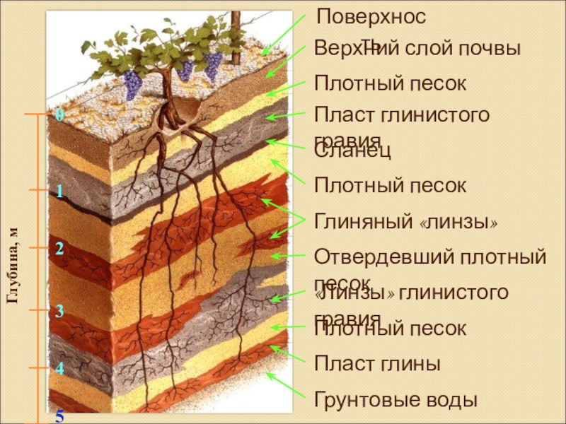 Состав суглинистой почвы схема