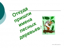 ПрезентацияОткуда пришли имена лесных деревьев?