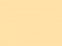 Презентация по русскому языку