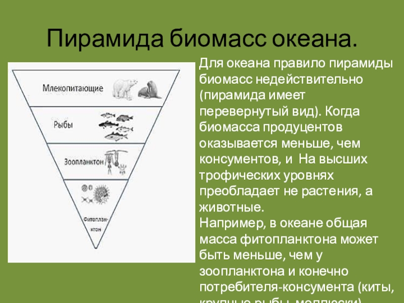 Схема перевернутая пирамида это