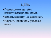 Комнатные растения развитие речи 4 класс 8 вид