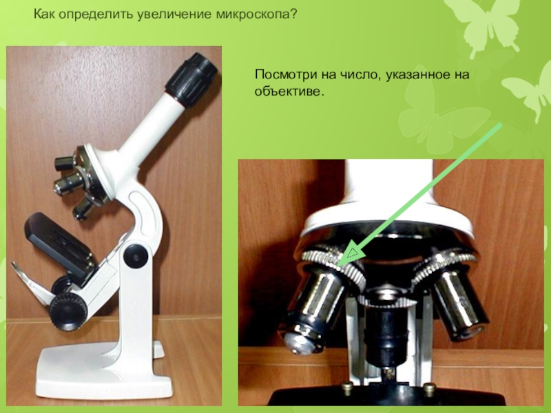 Как определить увеличение которое дает световой микроскоп. Как определить увеличение микроскопа.