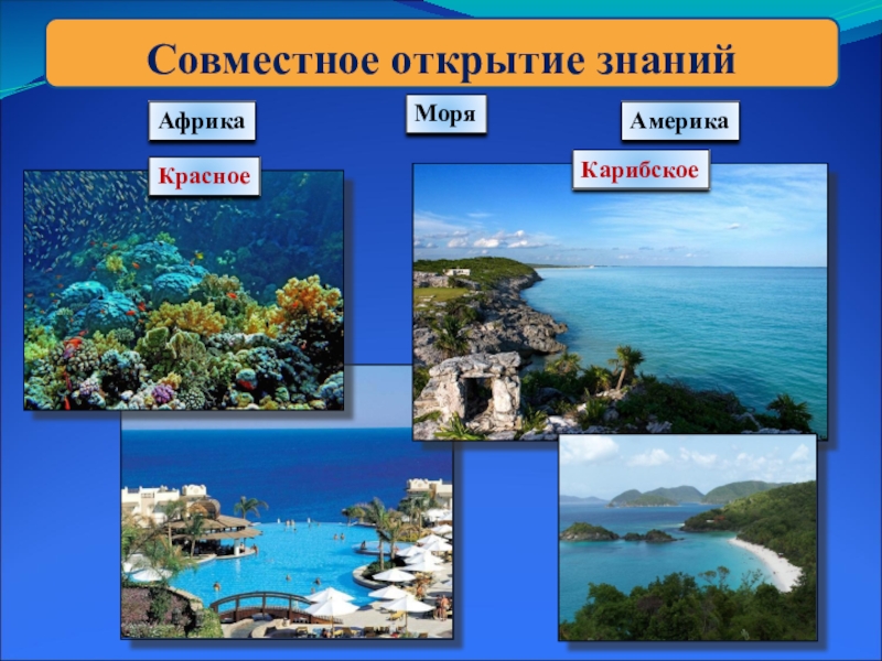 Основные типы морей. Остров окружающий мир. Острова окруж мир. Презентация Карибские острова. Карибские острова доклад.