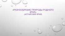 Презентация Разнообразие природы родного края